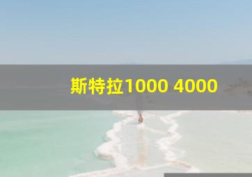 斯特拉1000 4000